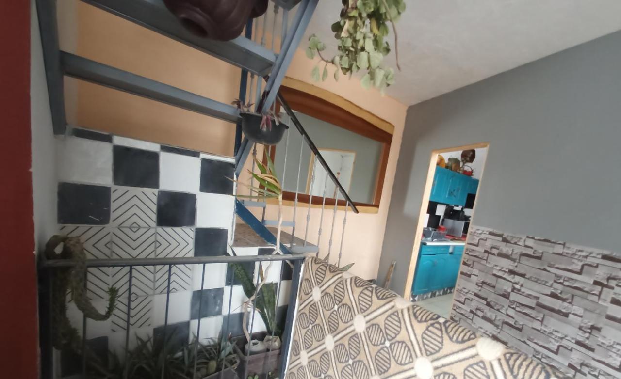 Bugambilias Departamentos Lukasa Home 瓜达拉哈拉 外观 照片